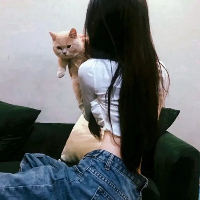 杰和沉默鲍伯的反击
